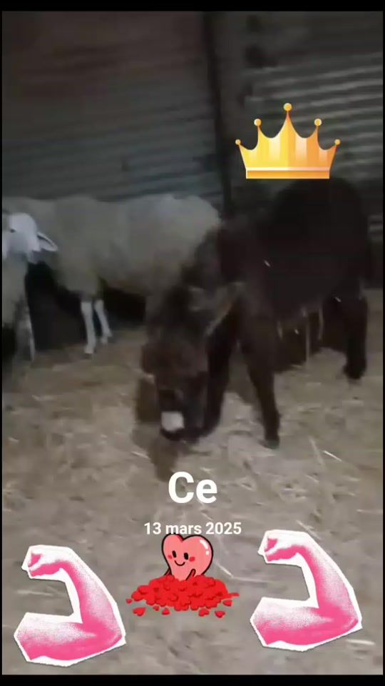 TikTok video thumbnail by user7671131496725