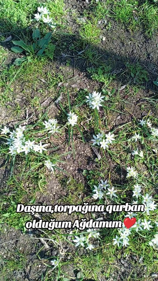 TikTok video thumbnail by 2012_mocuzem