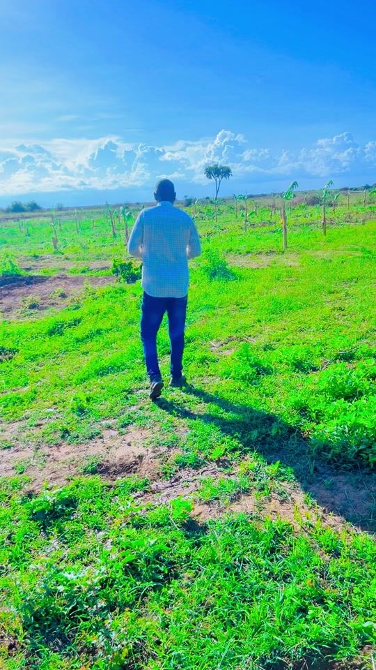 TikTok video thumbnail by mukhtar.nuur