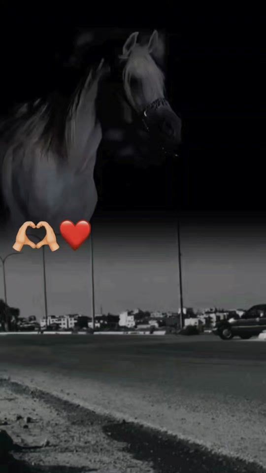 TikTok video thumbnail by mohammadbimmers7