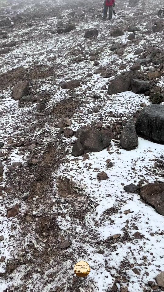 TikTok video thumbnail by coordinatestrail