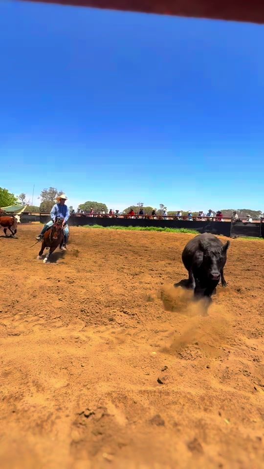 TikTok video thumbnail by barklyco