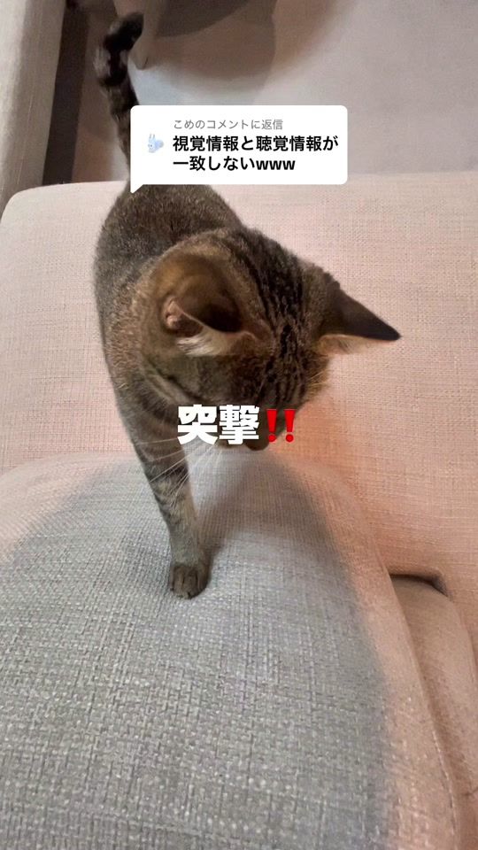 TikTok video thumbnail by nivo2_