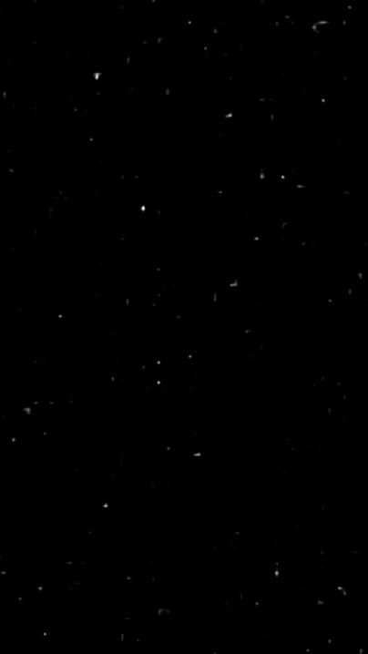 TikTok video thumbnail by ____snowii