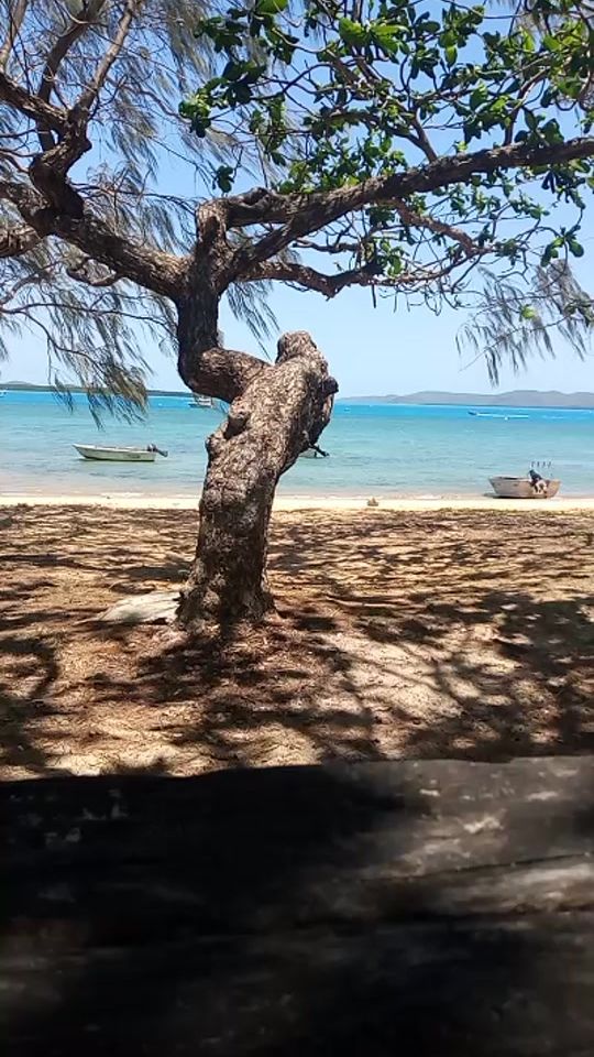 TikTok video thumbnail by jugu_mahn
