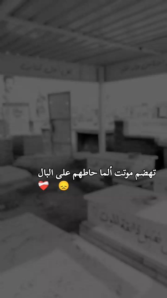 TikTok video thumbnail by sh55963
