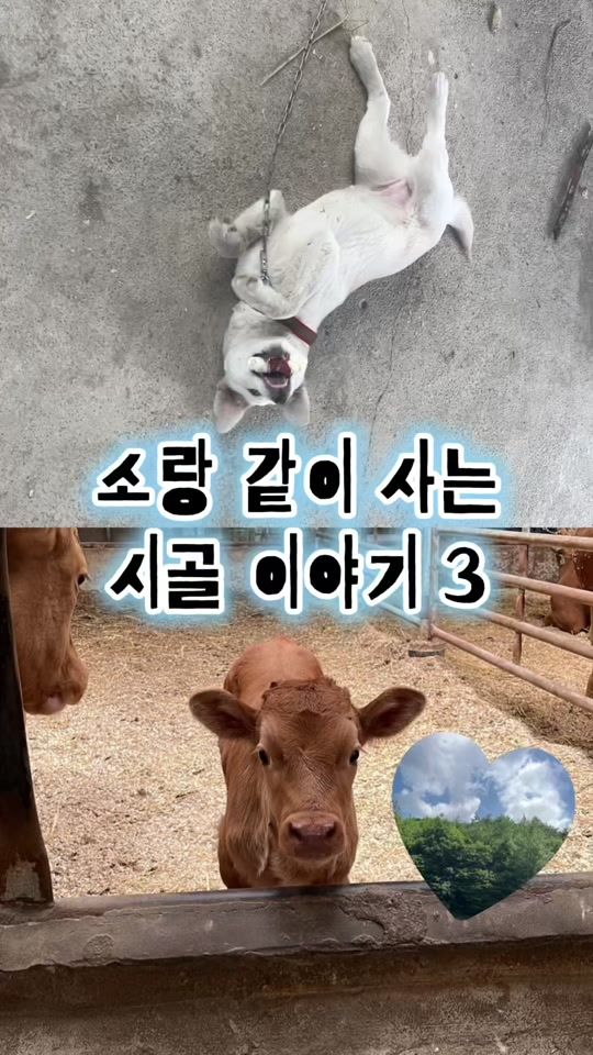 TikTok video thumbnail by su__bbin