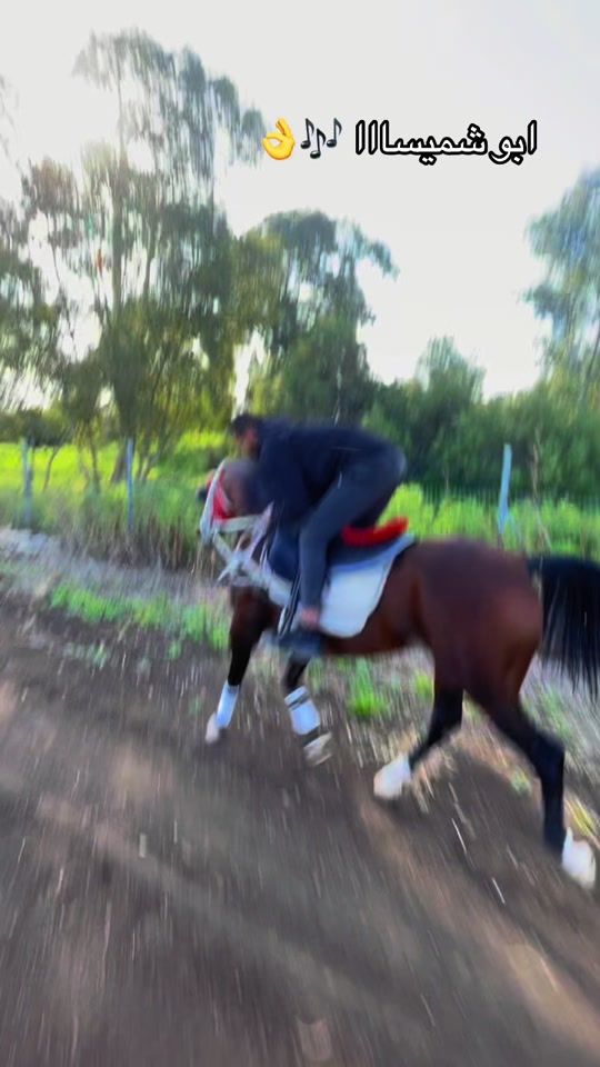TikTok video thumbnail by saifabotamer