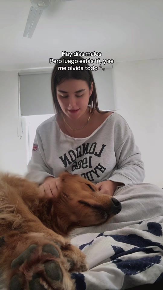 TikTok video thumbnail by deyel.oficial