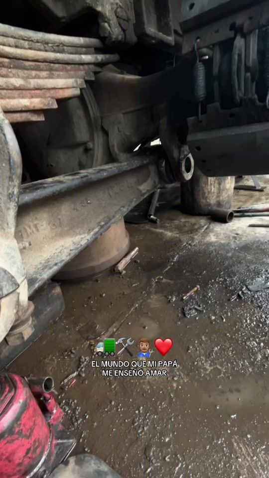 TikTok video thumbnail by adaly2306