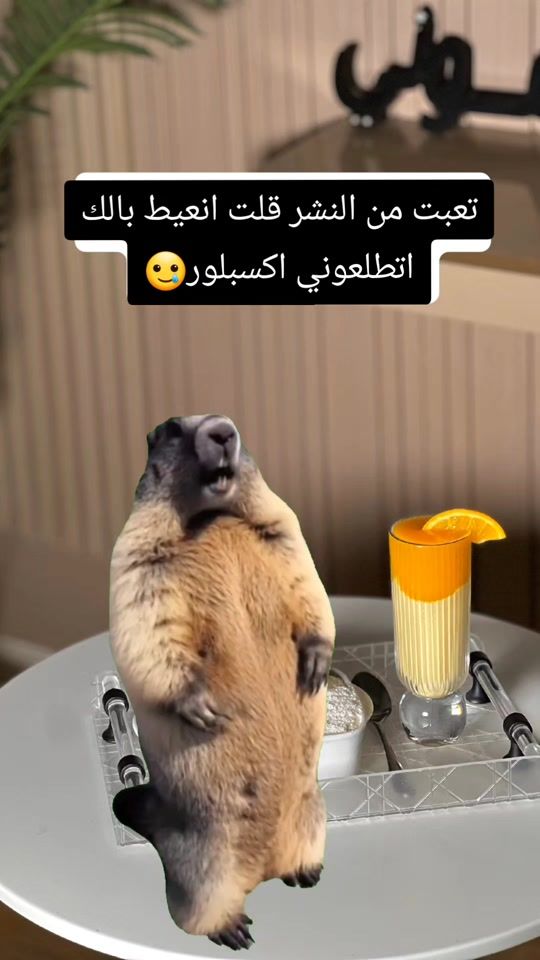 TikTok video thumbnail by amone97