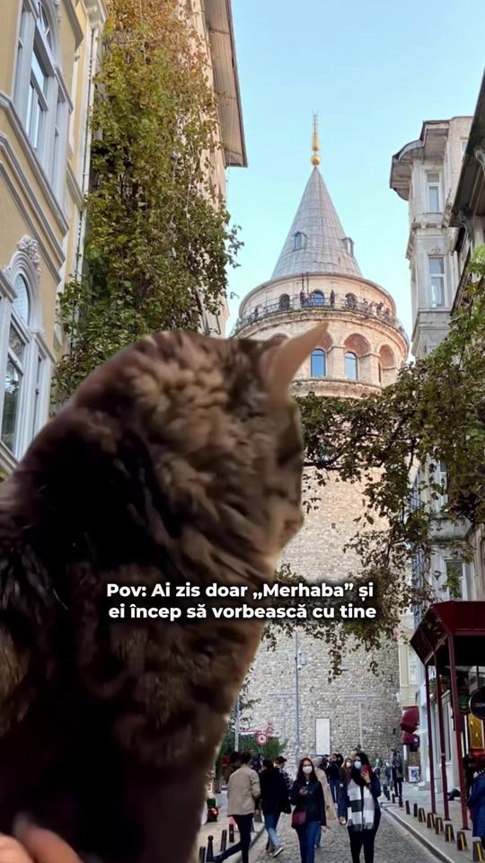 TikTok video thumbnail by lectielacafea