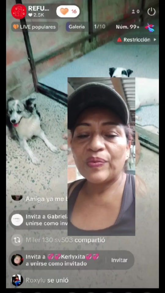 TikTok video thumbnail by refugiop.r.a.t
