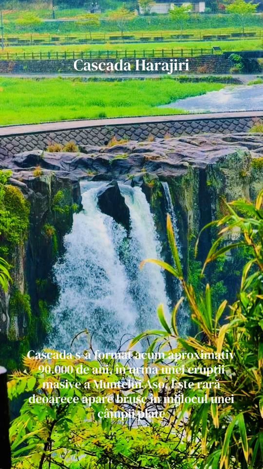 TikTok video thumbnail by explore.japanwith.ale
