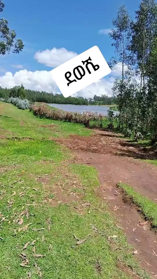 TikTok video thumbnail by almiabera2