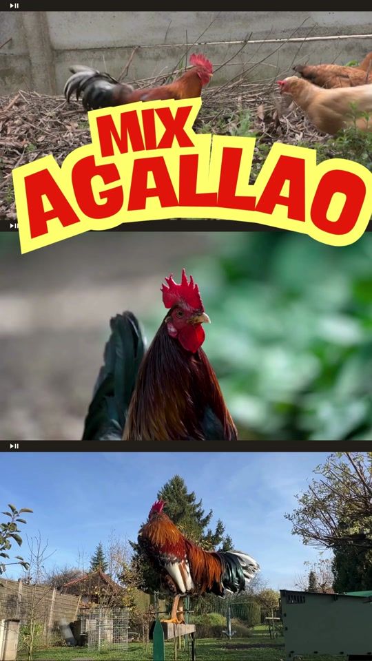 TikTok video thumbnail by crisformulasecreta