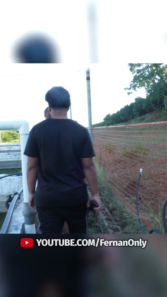 TikTok video thumbnail by fernanonly