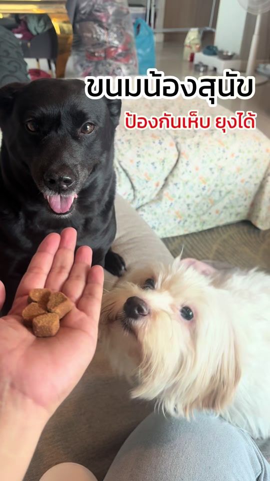 TikTok video thumbnail by eyemareviewja