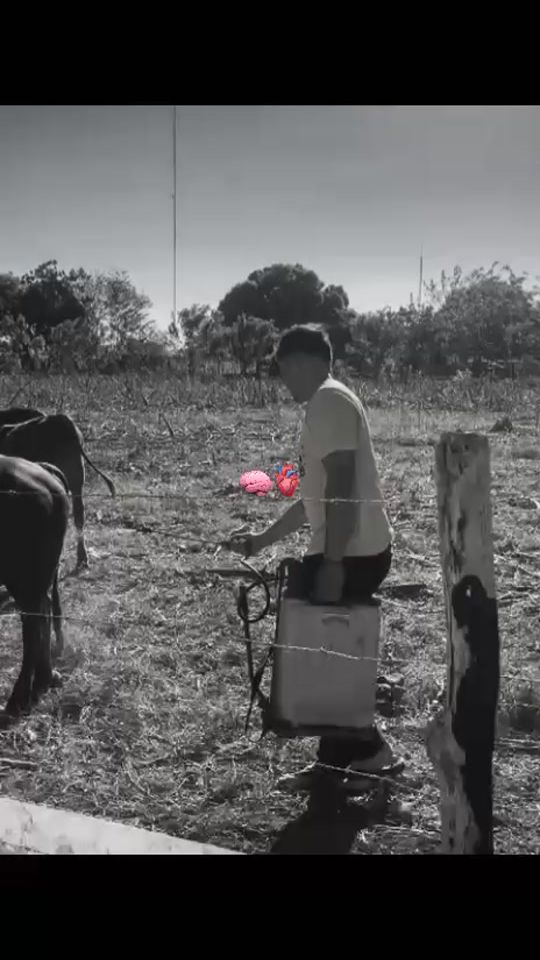 TikTok video thumbnail by algisleonel_