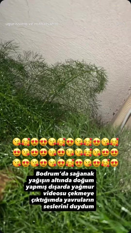 TikTok video thumbnail by kirve7234