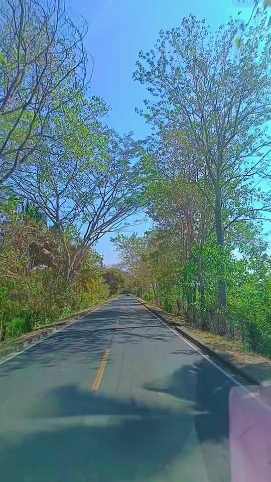 TikTok video thumbnail by escaperomoffles1289