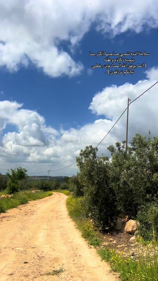 TikTok video thumbnail by simanizar