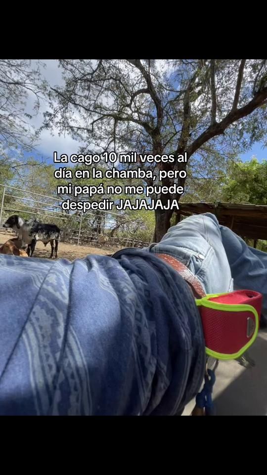 TikTok video thumbnail by _eduardoangulo_