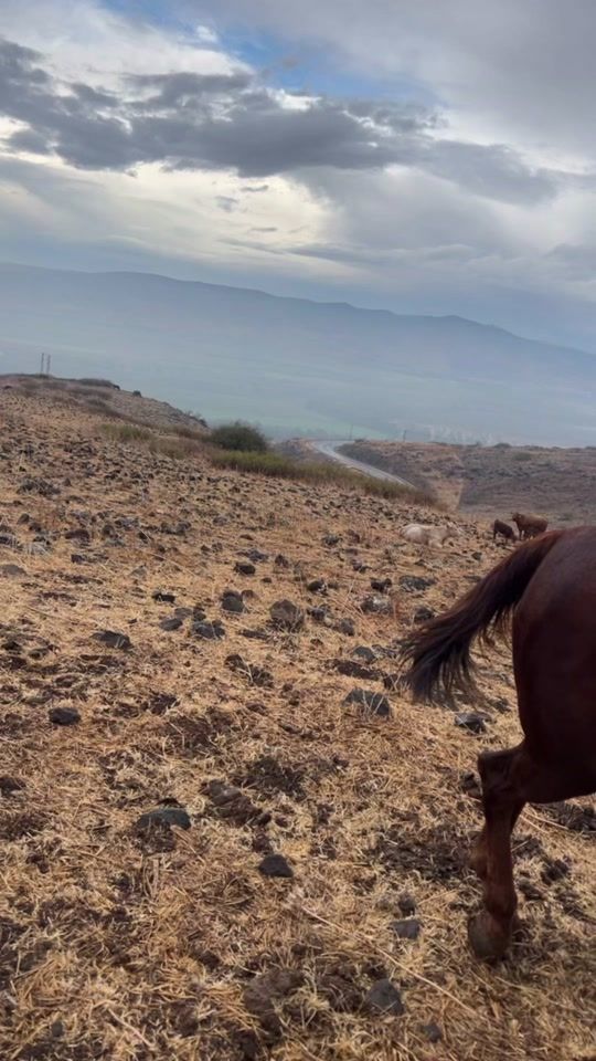 TikTok video thumbnail by bahaatarabi