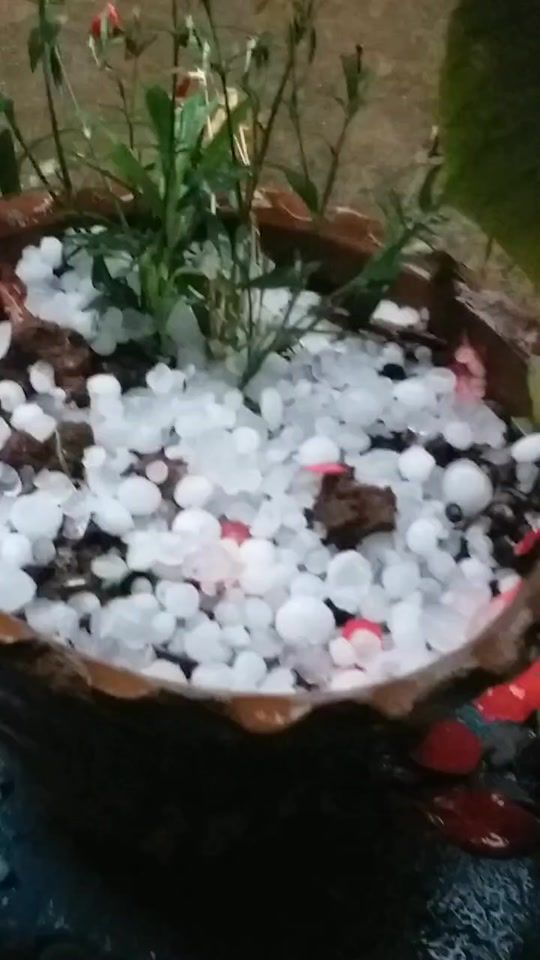 TikTok video thumbnail by mayamagarni46