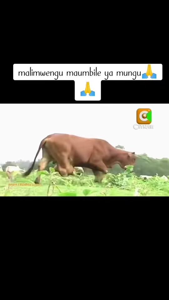 TikTok video thumbnail by respectispersonal