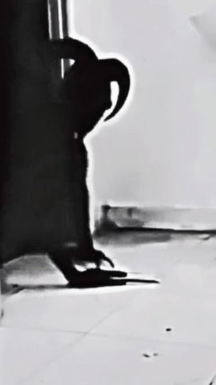 TikTok video thumbnail by edit..g2