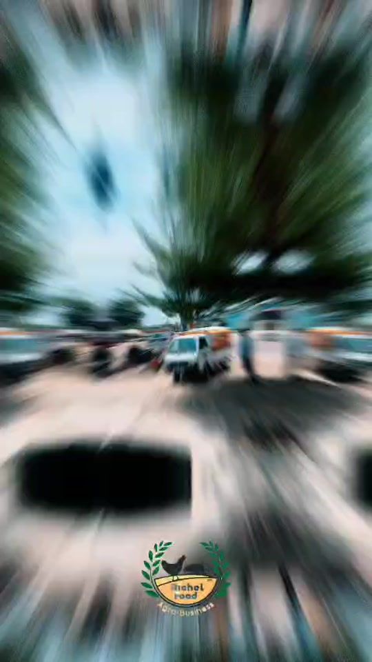 TikTok video thumbnail by twissvibes