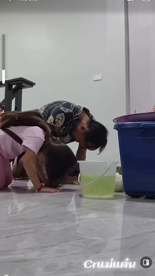 TikTok video thumbnail by nipaporn_pu