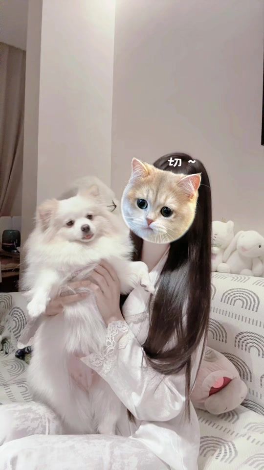 TikTok video thumbnail by ing372