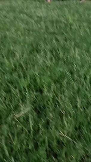 TikTok video thumbnail by sabelomboma