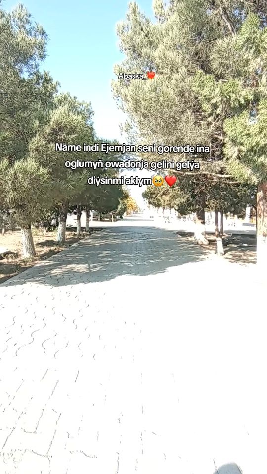 TikTok video thumbnail by dadcolia