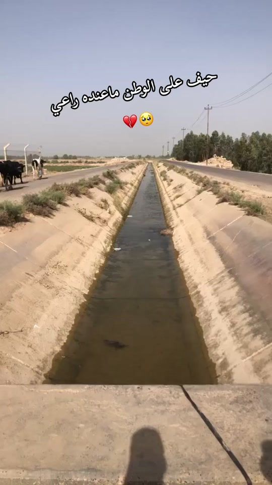 TikTok video thumbnail by ma_za_e