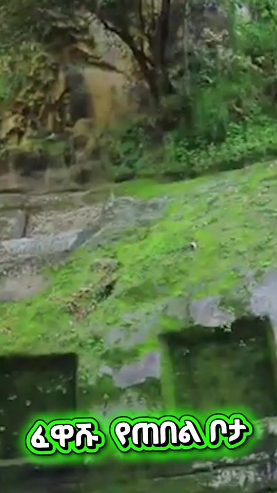 TikTok video thumbnail by abukelemsismedia