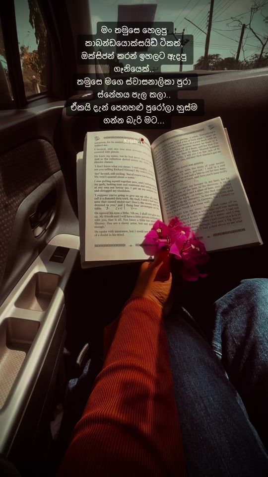 TikTok video thumbnail by krishnadinushika