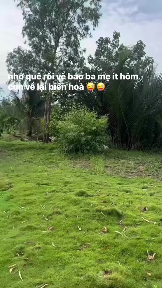 TikTok video thumbnail by annhien.656