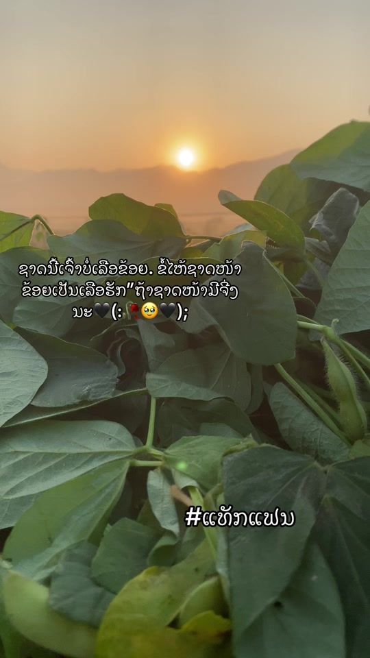 TikTok video thumbnail by _____42208