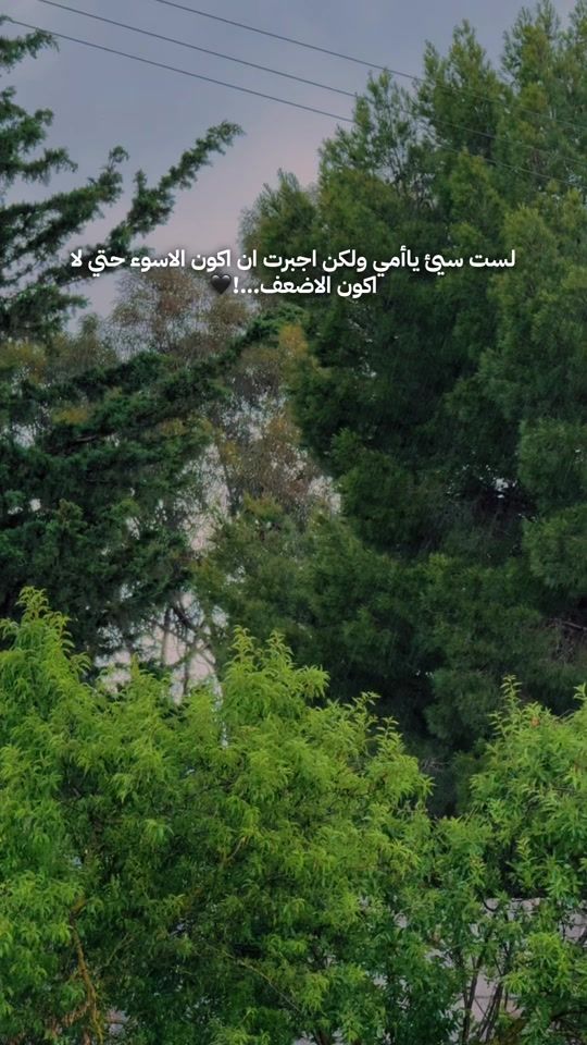 TikTok video thumbnail by feras.zbiqa