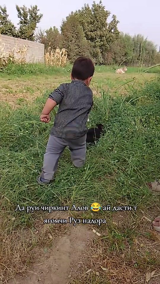 TikTok video thumbnail by 1_mohtobak_