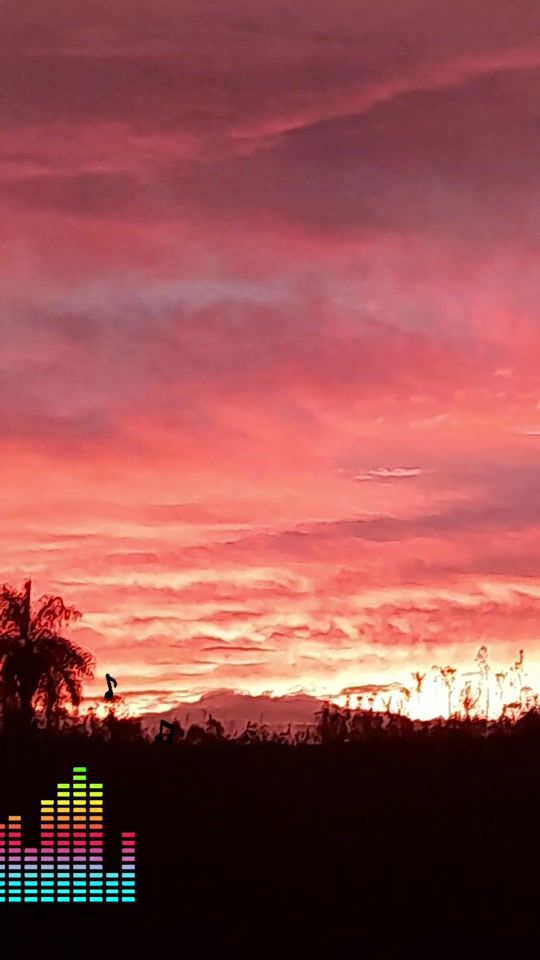 TikTok video thumbnail by griselda.bogado3