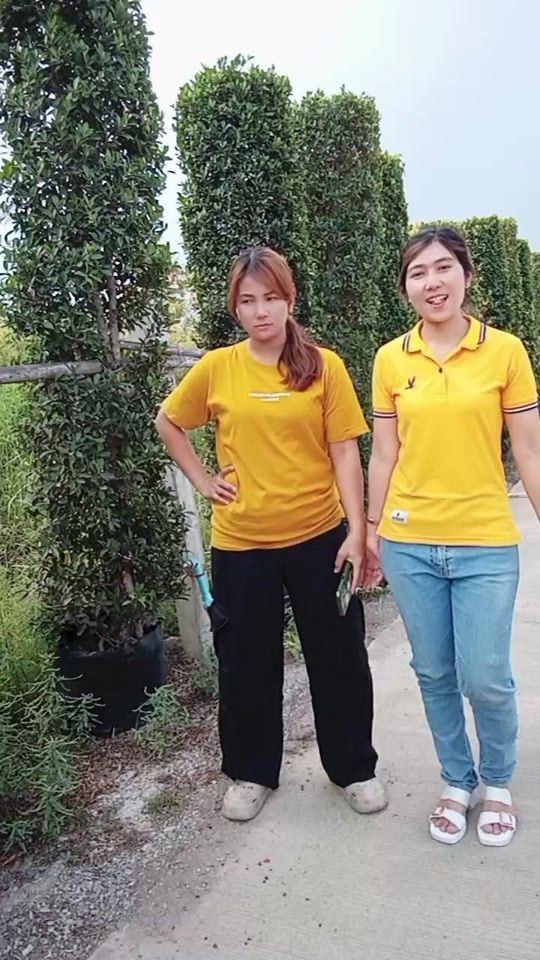TikTok video thumbnail by po.po7122