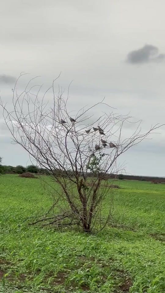 TikTok video thumbnail by user7706548383873