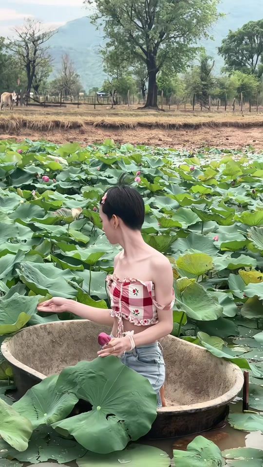 TikTok video thumbnail by fb.som.bun