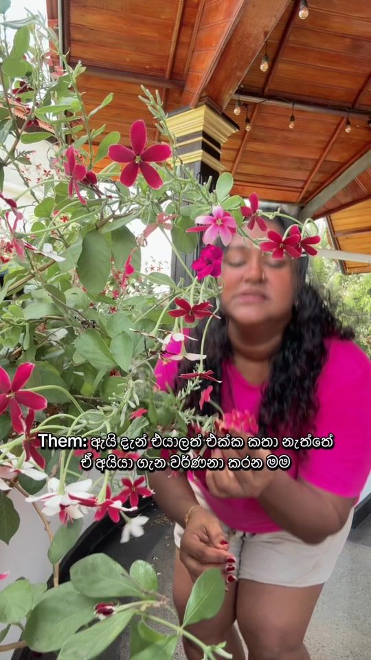 TikTok video thumbnail by lola_mca