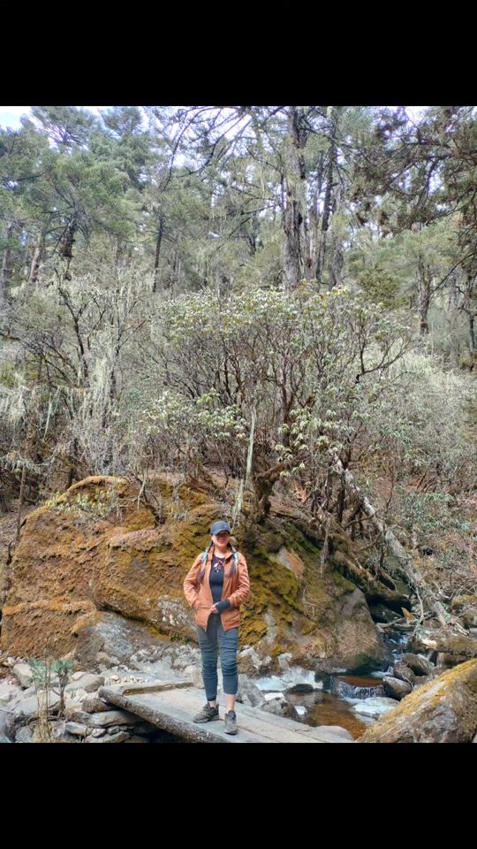 TikTok video thumbnail by auntyboring