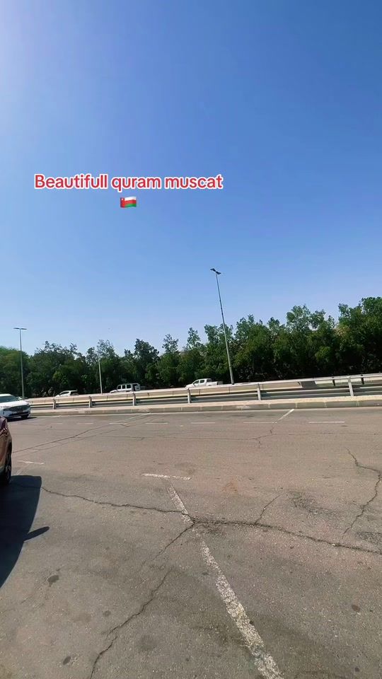 TikTok video thumbnail by omani.pardesi